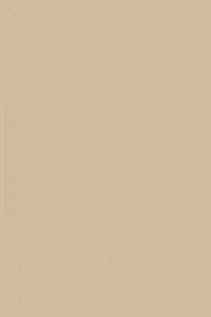 FARROW AND BALL OXFORD STONE NO. 226 PAINT